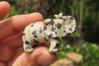 Polished Small Dalmatian Jasper Elephant Carving - sold per item - From Mexico - Toprock Gemstones and Minerals 