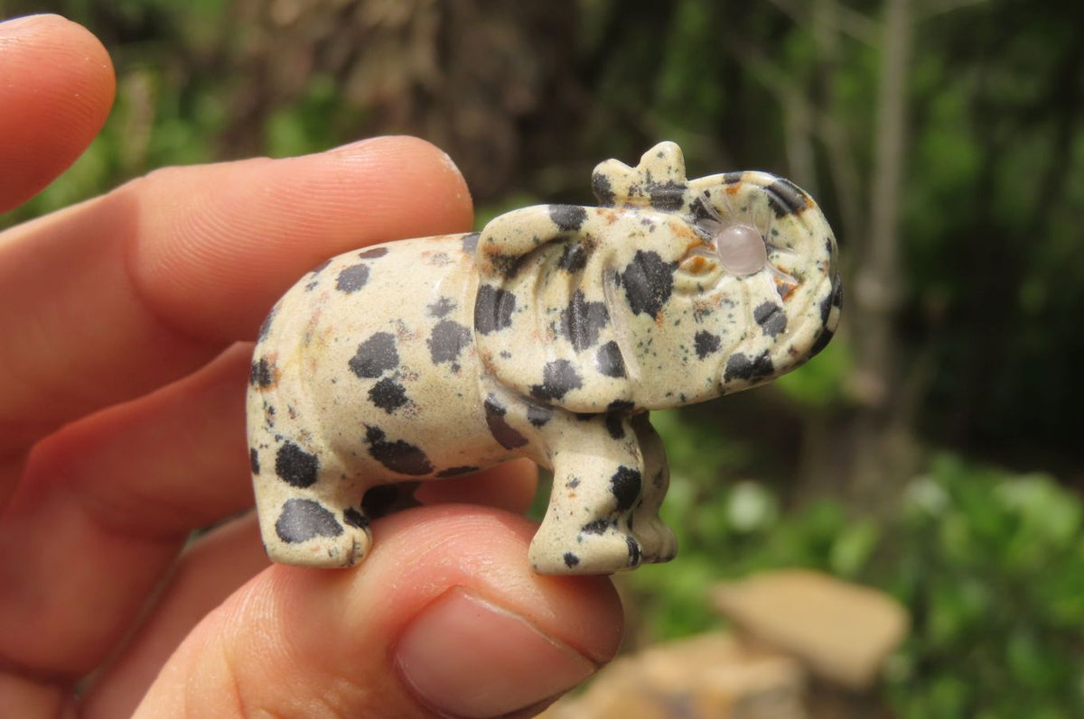 Polished Small Dalmatian Jasper Elephant Carving - sold per item - From Mexico - Toprock Gemstones and Minerals 