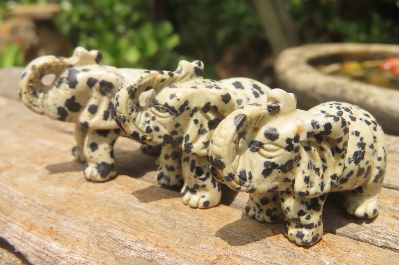 Polished Small Dalmatian Jasper Elephant Carving - sold per item - From Mexico - Toprock Gemstones and Minerals 