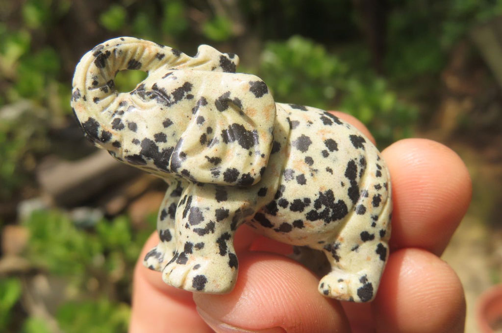 Polished Small Dalmatian Jasper Elephant Carving - sold per item - From Mexico - Toprock Gemstones and Minerals 