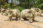 Polished Small Dalmatian Jasper Elephant Carving - sold per item - From Mexico - Toprock Gemstones and Minerals 
