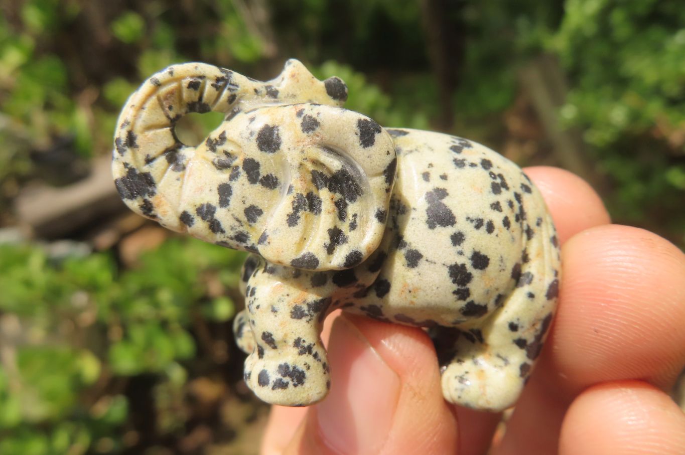 Polished Small Dalmatian Jasper Elephant Carving - sold per item - From Mexico - Toprock Gemstones and Minerals 