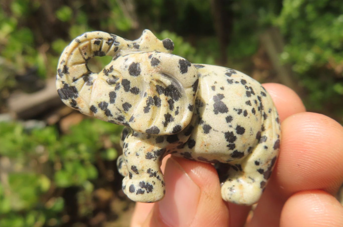 Polished Small Dalmatian Jasper Elephant Carving - sold per item - From Mexico - Toprock Gemstones and Minerals 