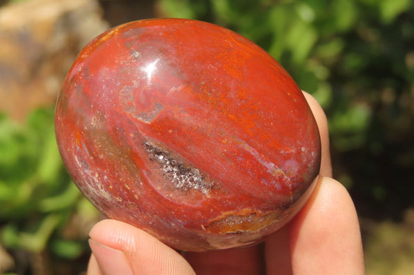 Polished Podocarpus Petrified Wood Palm Stones x 12 From Mahajanga, Madagascar - Toprock Gemstones and Minerals 