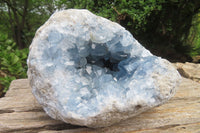 Natural Celestite Geode Specimen x 1 From Sakoany, Madagascar - Toprock Gemstones and Minerals 