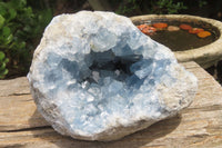 Natural Celestite Geode Specimen x 1 From Sakoany, Madagascar - Toprock Gemstones and Minerals 