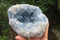 Natural Celestite Geode Specimen x 1 From Sakoany, Madagascar - Toprock Gemstones and Minerals 