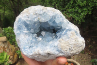 Natural Celestite Geode Specimen x 1 From Sakoany, Madagascar - Toprock Gemstones and Minerals 