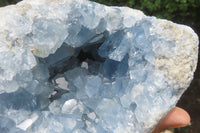 Natural Celestite Geode Specimen x 1 From Sakoany, Madagascar - Toprock Gemstones and Minerals 