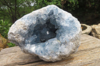 Natural Celestite Geode Specimen x 1 From Sakoany, Madagascar - Toprock Gemstones and Minerals 