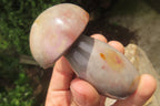 Polished Polychrome Jasper Mushrooms x 6 From Madagascar - Toprock Gemstones and Minerals 