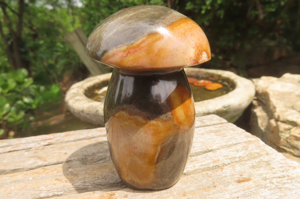 Polished Polychrome Jasper Mushrooms x 6 From Madagascar - Toprock Gemstones and Minerals 