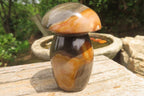Polished Polychrome Jasper Mushrooms x 6 From Madagascar - Toprock Gemstones and Minerals 