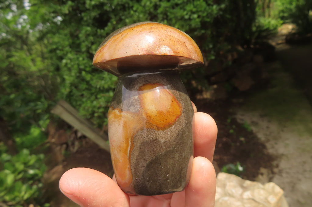 Polished Polychrome Jasper Mushrooms x 6 From Madagascar - Toprock Gemstones and Minerals 