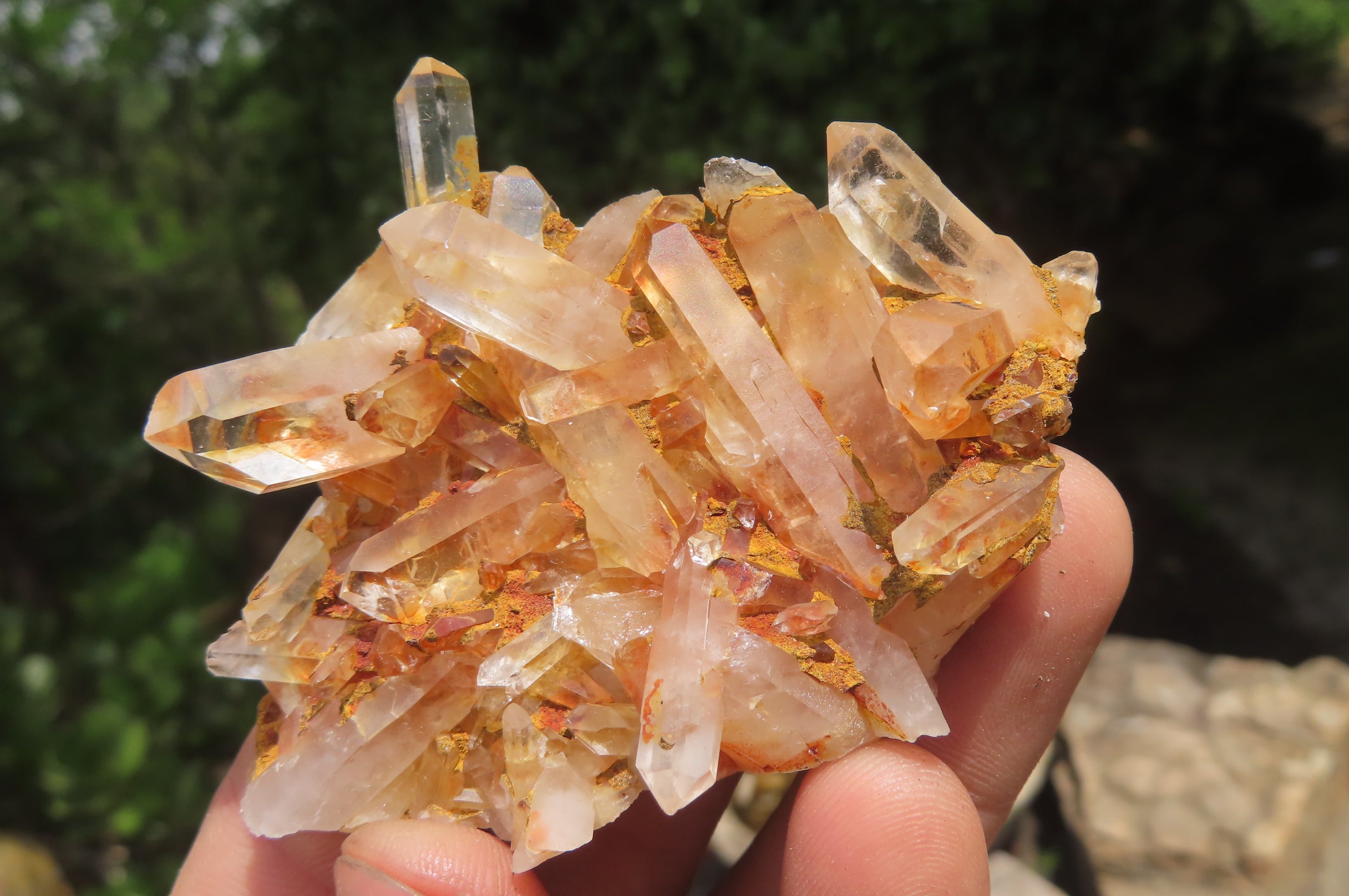 Natural Clear Quartz Clusters x 24 From Madagascar - Toprock Gemstones and Minerals 