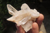 Natural Clear Quartz Clusters x 24 From Madagascar - Toprock Gemstones and Minerals 