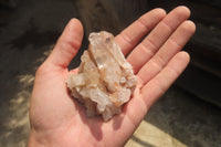 Natural Clear Quartz Clusters x 24 From Madagascar - Toprock Gemstones and Minerals 