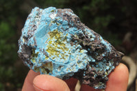 Natural Shattuckite with Chrysocolla & Malachite Cobbed Specimens x 2.7 Kg Lot from Namibia - Toprock Gemstones and Minerals 