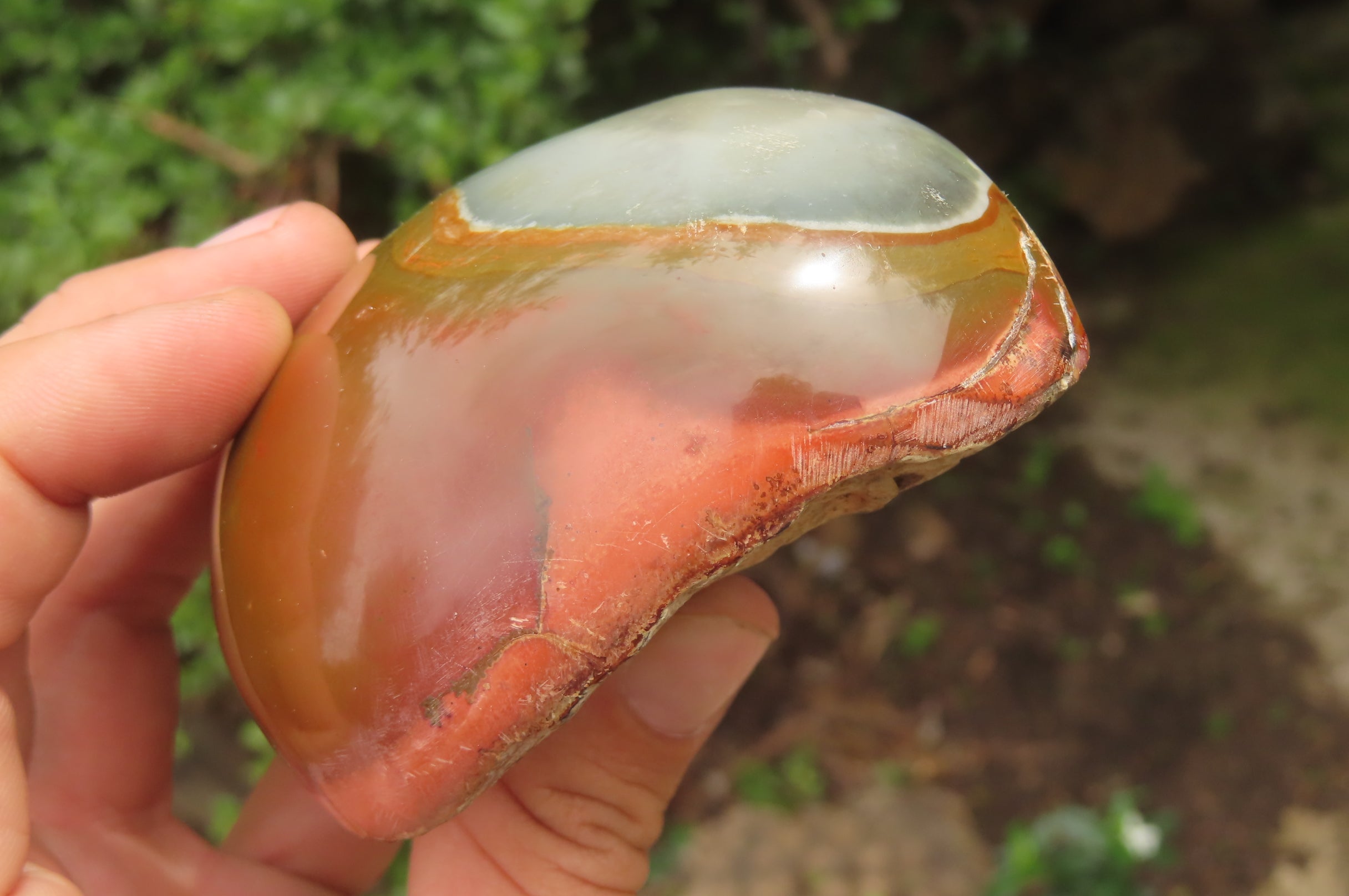 Polished On One Side Polychrome Jasper x 4 From Mahajanga, Madagascar - Toprock Gemstones and Minerals 