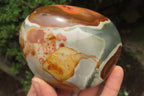 Polished On One Side Polychrome Jasper x 4 From Mahajanga, Madagascar - Toprock Gemstones and Minerals 