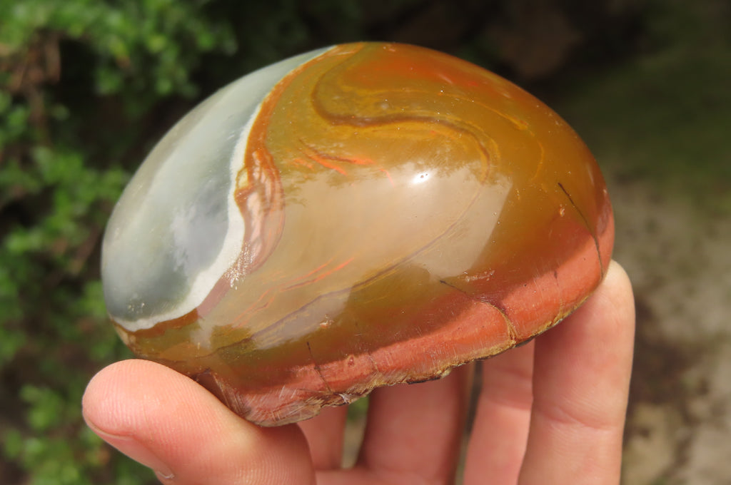 Polished On One Side Polychrome Jasper x 4 From Mahajanga, Madagascar - Toprock Gemstones and Minerals 