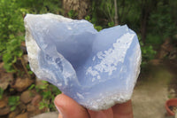 Natural Blue Lace Agate Geode Specimens x 6 From Malawi - Toprock Gemstones and Minerals 