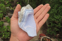 Natural Blue Lace Agate Geode Specimens x 6 From Malawi - Toprock Gemstones and Minerals 