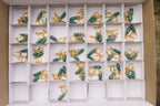 Polished Pair of Malachite Drop Clip On Earrings - Sold Per Pair - From Congo - Toprock Gemstones and Minerals 