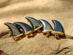 Polished Silver Hematite Lions Claw Pendant with Gold Cap & Bail - Sold Per Item - From China - Toprock Gemstones and Minerals 