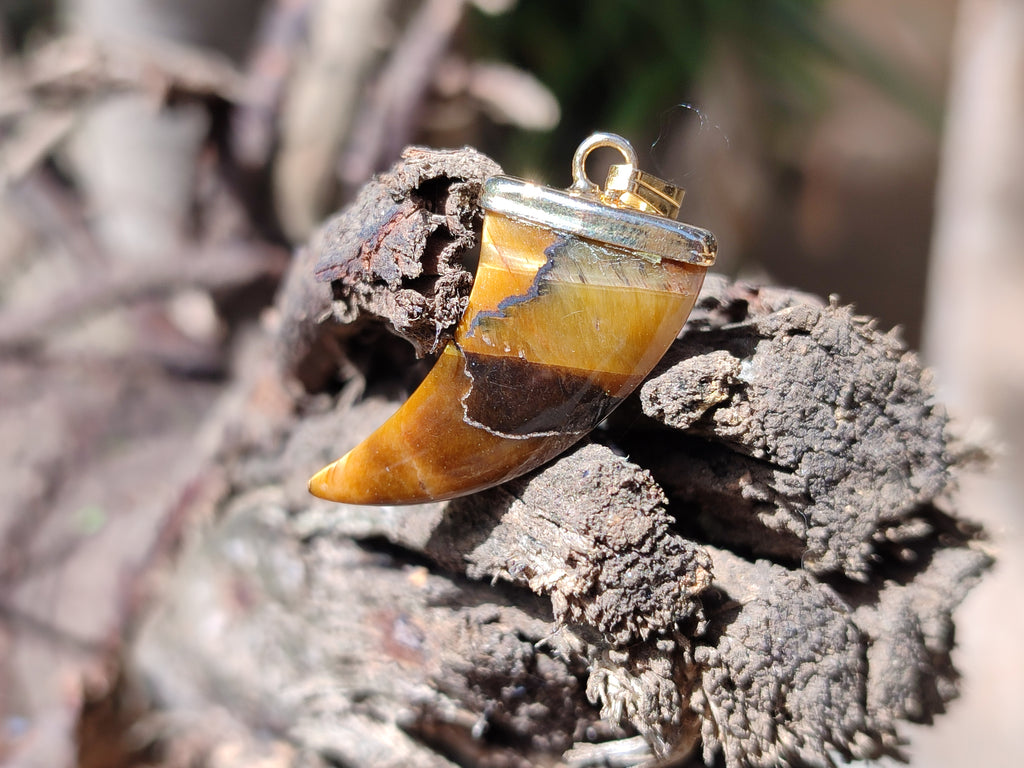 Polished Golden Tigers Eye Lions Claw Pendant with Gold Cap & Bail - Sold Per Item - From South Africa - Toprock Gemstones and Minerals 