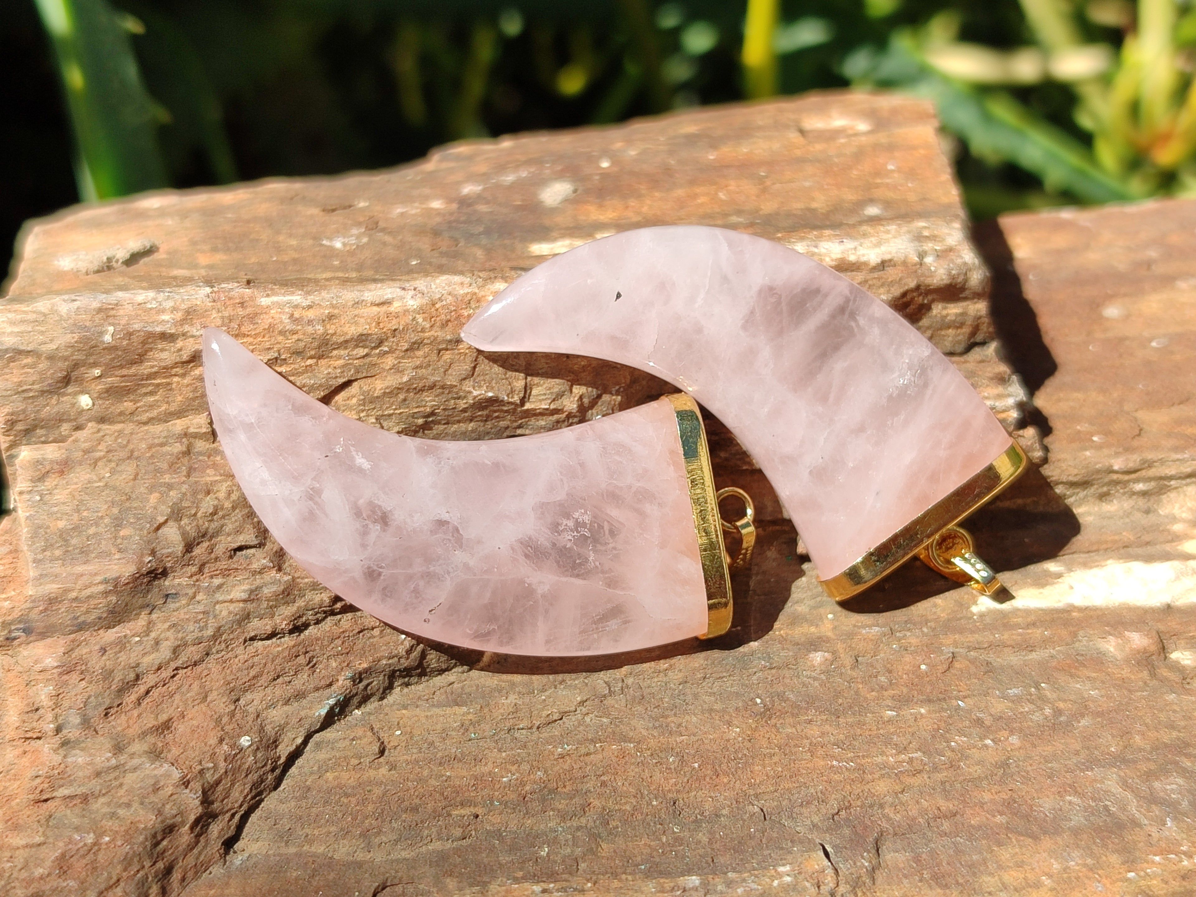 Polished Rose Quartz Lions Claw Pendant with Gold Cap & Bail - Sold Per Item - From Madagascar - Toprock Gemstones and Minerals 