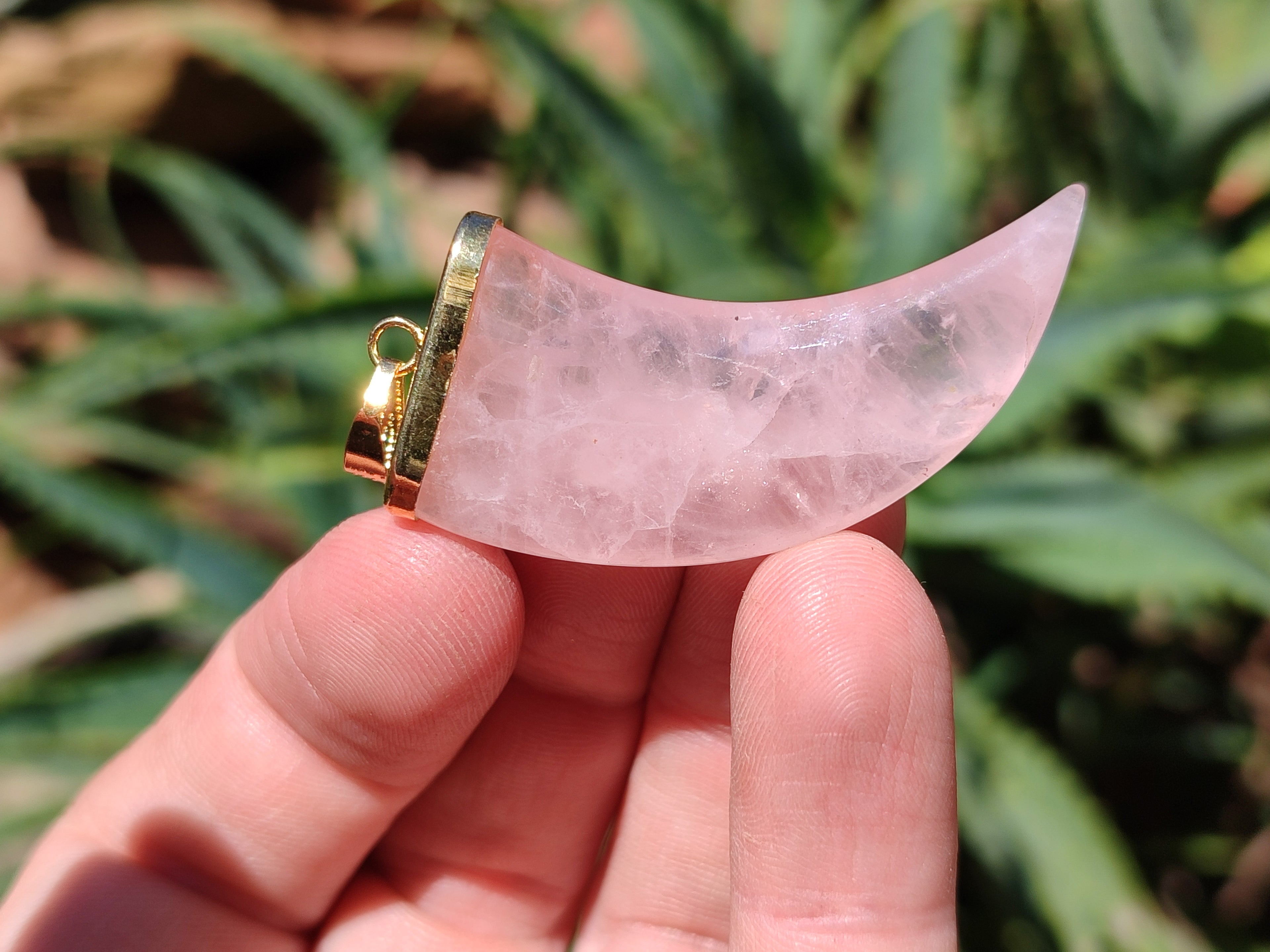 Polished Rose Quartz Lions Claw Pendant with Gold Cap & Bail - Sold Per Item - From Madagascar - Toprock Gemstones and Minerals 