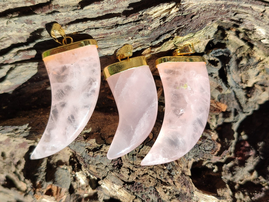 Polished Rose Quartz Lions Claw Pendant with Gold Cap & Bail - Sold Per Item - From Madagascar - Toprock Gemstones and Minerals 