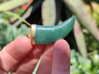 Polished Large Aventurine Lions Claw Pendant with Gold Cap & Bail - Sold Per Item - From Zimbabwe - Toprock Gemstones and Minerals 