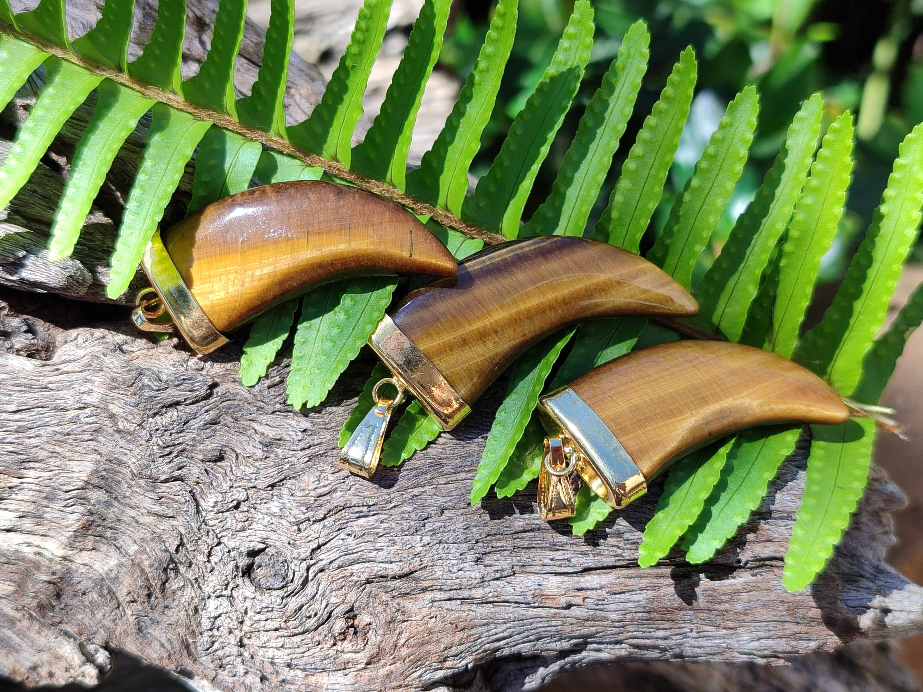Polished Large Golden Tigers Eye Lions Claw Pendant with Gold Cap & Bail - Sold Per Item - From South Africa - Toprock Gemstones and Minerals 