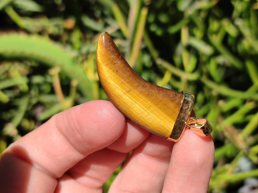Polished Large Golden Tigers Eye Lions Claw Pendant with Gold Cap & Bail - Sold Per Item - From South Africa - Toprock Gemstones and Minerals 