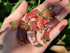 Polished Large Brecciated Red Jasper Lions Claw Pendant with Gold Cap & Bail - Sold Per Item - From South Africa - Toprock Gemstones and Minerals 