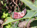 Polished Large Brecciated Red Jasper Lions Claw Pendant with Gold Cap & Bail - Sold Per Item - From South Africa - Toprock Gemstones and Minerals 