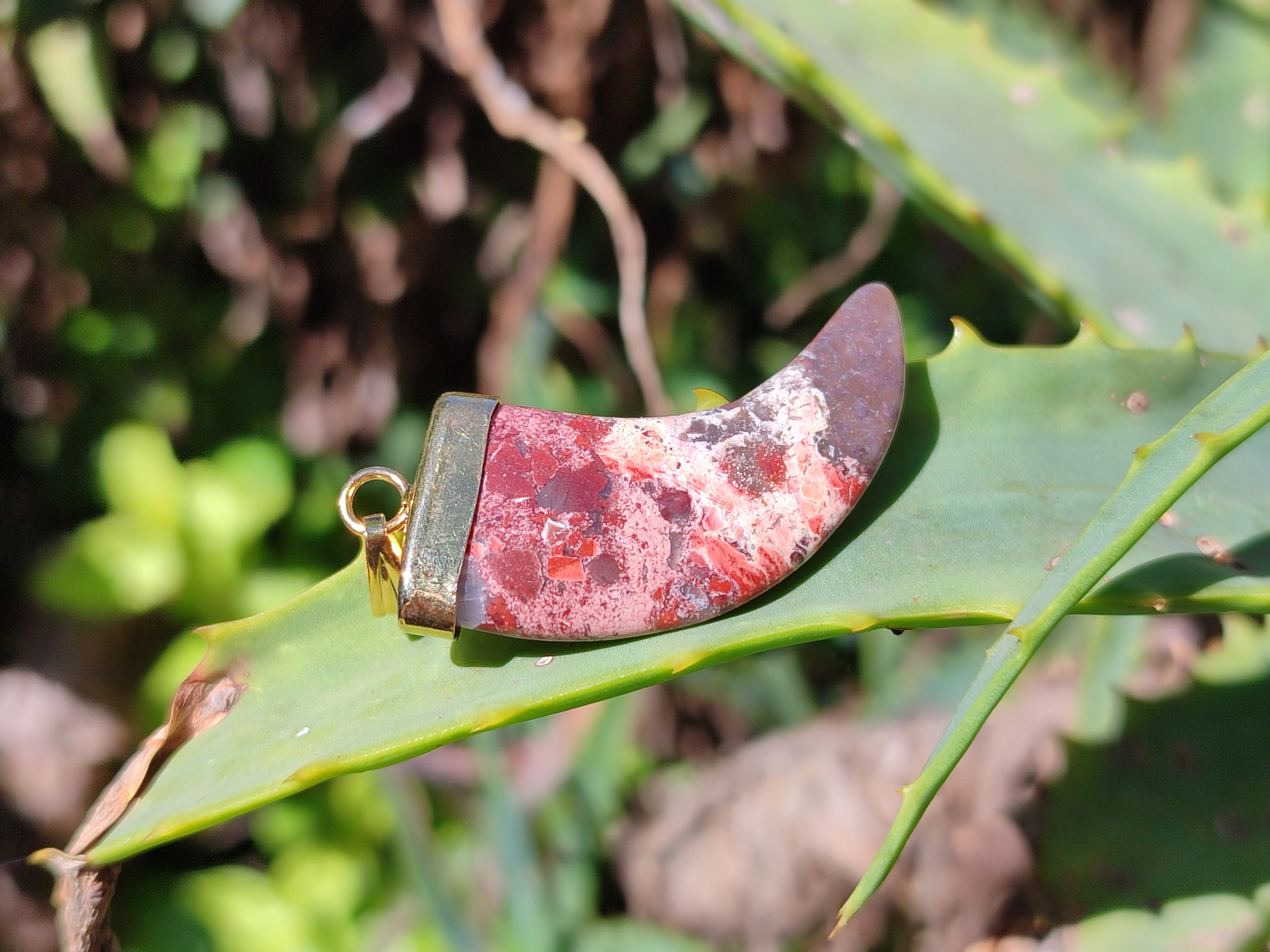 Polished Large Brecciated Red Jasper Lions Claw Pendant with Gold Cap & Bail - Sold Per Item - From South Africa - Toprock Gemstones and Minerals 