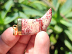 Polished Large Brecciated Red Jasper Lions Claw Pendant with Gold Cap & Bail - Sold Per Item - From South Africa - Toprock Gemstones and Minerals 