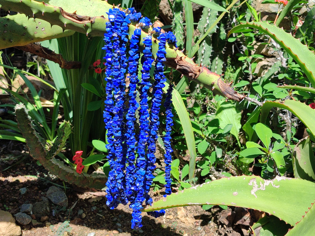 Polished Lapis Lazuli Beaded Tumble Chip Necklace - Sold Per Item - From Afghanistan - Toprock Gemstones and Minerals 