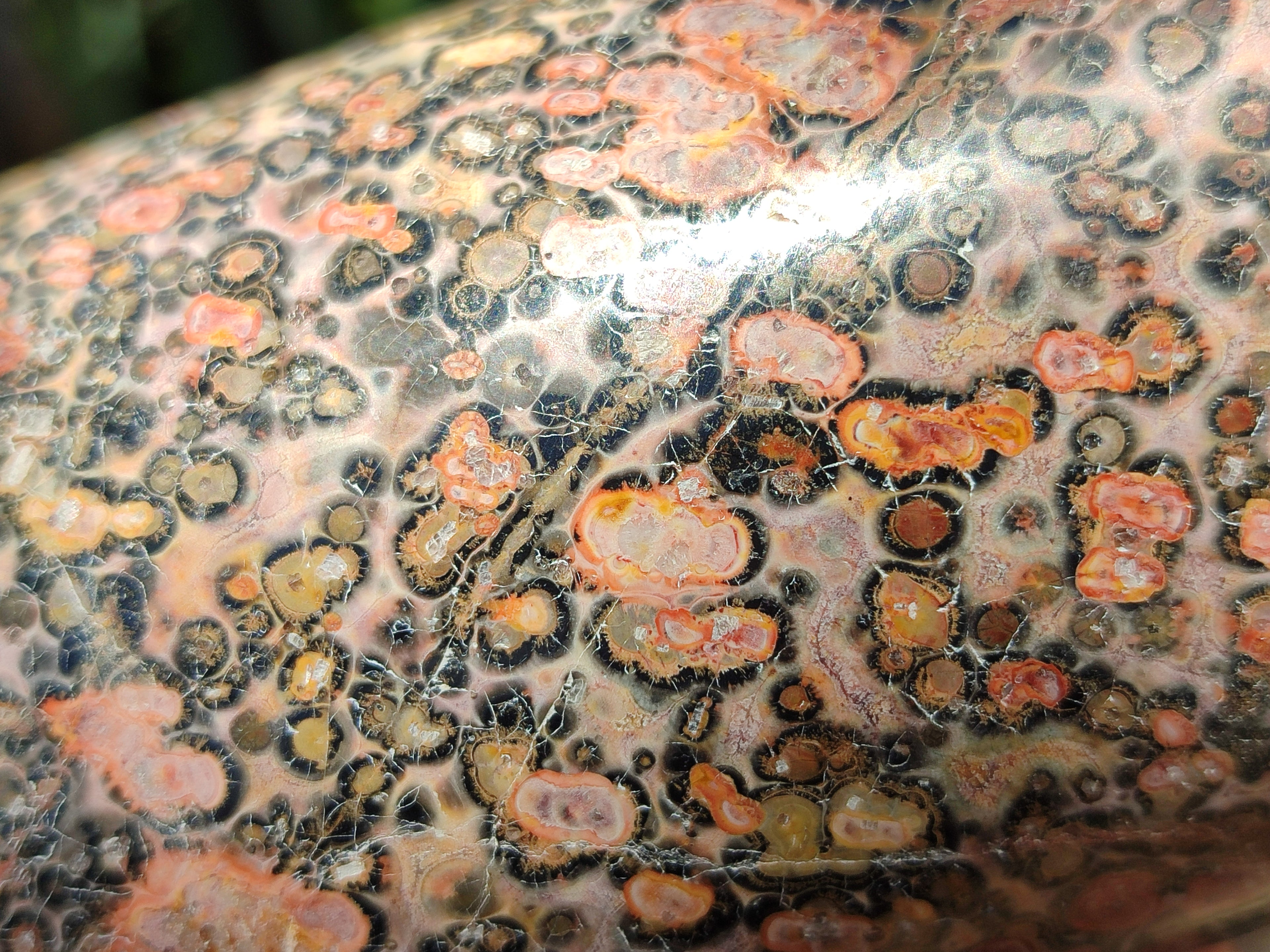 Polished Snakeskin Jasper Candle Holders x 2 From Australia - Toprock Gemstones and Minerals 