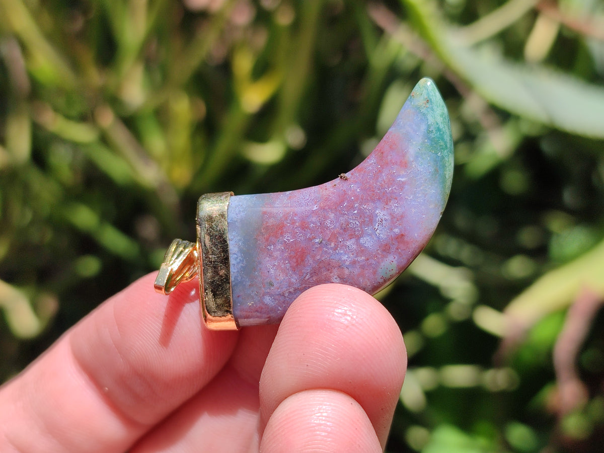 Polished Large Indian Agate Lions Claw Pendant with Gold Cap & Bail - Sold Per Item - From India - Toprock Gemstones and Minerals 