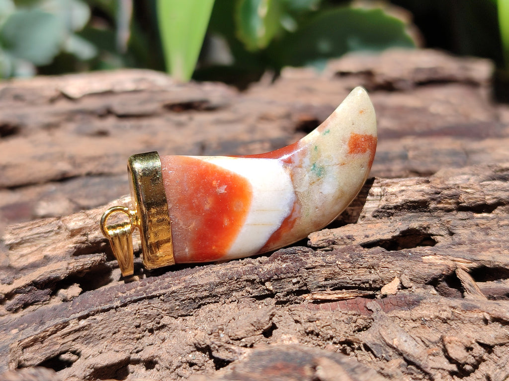 Polished Large Indian Agate Lions Claw Pendant with Gold Cap & Bail - Sold Per Item - From India - Toprock Gemstones and Minerals 