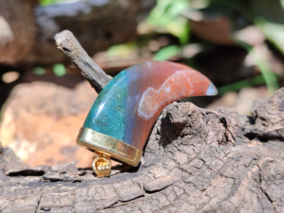 Polished Large Indian Agate Lions Claw Pendant with Gold Cap & Bail - Sold Per Item - From India - Toprock Gemstones and Minerals 