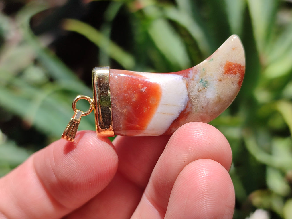 Polished Large Indian Agate Lions Claw Pendant with Gold Cap & Bail - Sold Per Item - From India - Toprock Gemstones and Minerals 