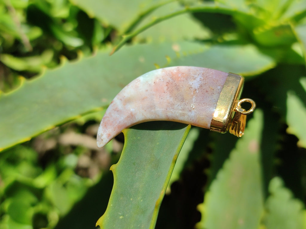 Polished Large Indian Agate Lions Claw Pendant with Gold Cap & Bail - Sold Per Item - From India - Toprock Gemstones and Minerals 