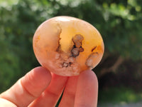 Polished Flower Agate Palm Stones x 20 From Madagascar - Toprock Gemstones and Minerals 