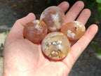 Polished Flower Agate Palm Stones x 20 From Madagascar - Toprock Gemstones and Minerals 