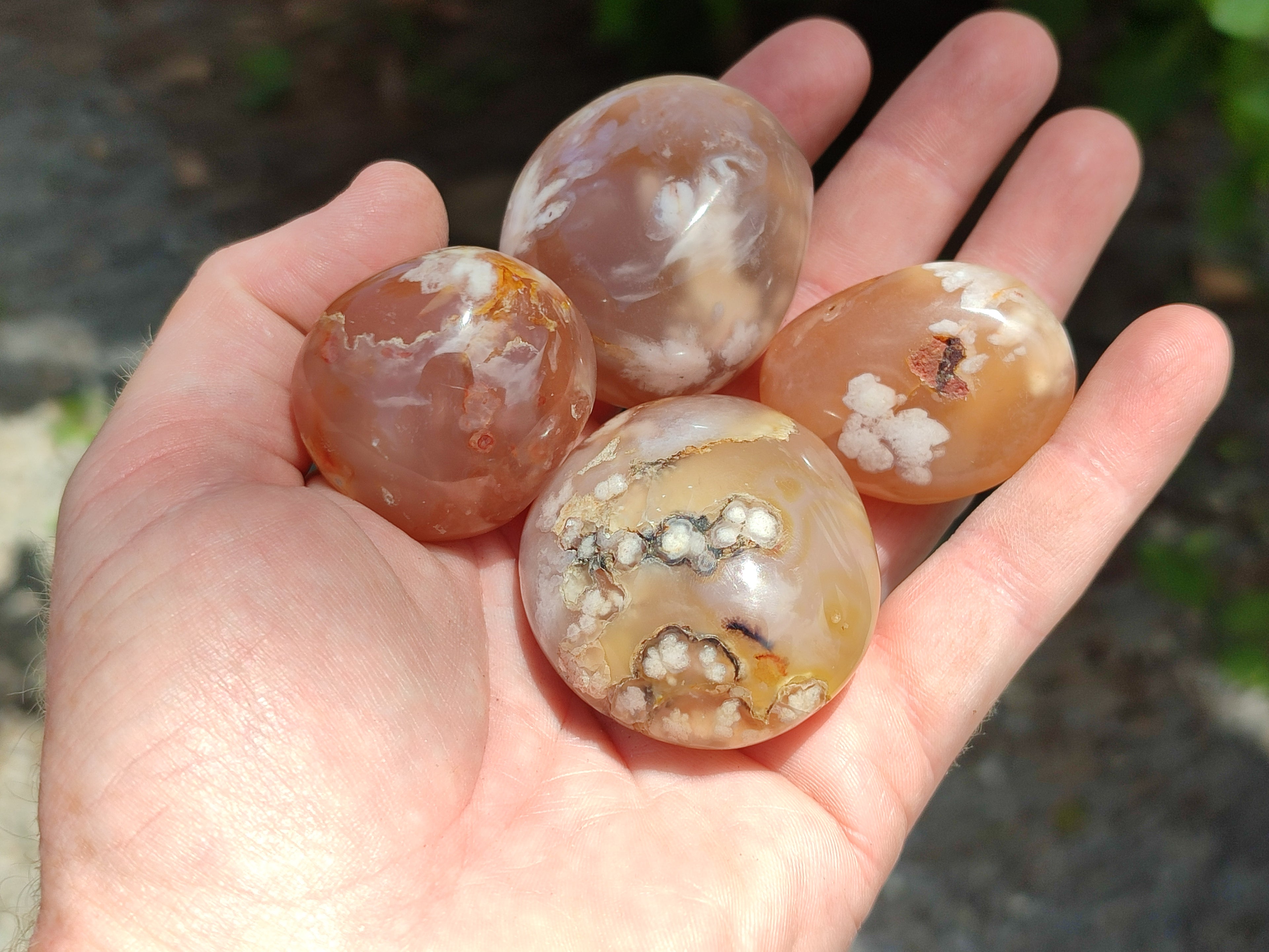 Polished Flower Agate Palm Stones x 20 From Madagascar - Toprock Gemstones and Minerals 